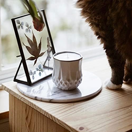 The Growing Candle, Wild Flower Scented, 9oz Ceramic Pot, Single Wick Aromatherapy Candles, 100% Soy for Women and Men, Astrid