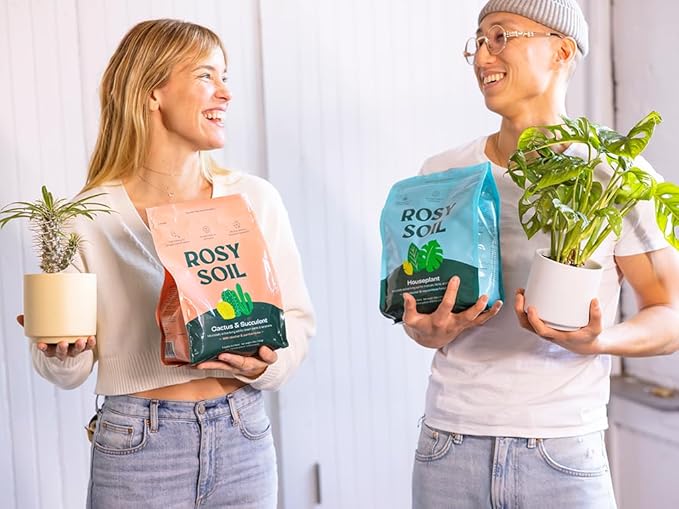 Rosy Soil Cactus & Succulent Potting Mix + Indoor Potting Soil - Peat Free House Plant Soil - Mix for Indoor Plants (4 Quarts Each)