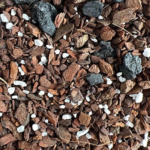 Snake Plant Imperial Houseplant Potting Soil Mix by rePotme - Standard Bag (8 Quarts)