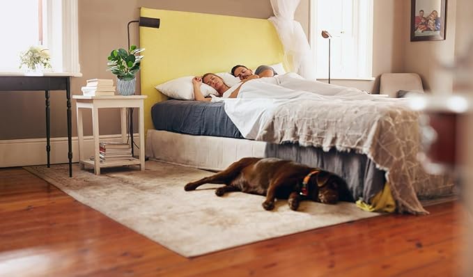 AlphaAcc Fake Plants Real Looking Greenery Artificial Plants Indoor Potted Plant with Rustic Black Clay Planter for Farmhouse Bathroom Bedroom Kitchen Office Table Decor 8"