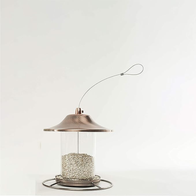 Wagner's 57075 Safflower Seed Wild Bird Food, 5 Pound (Pack of 1)