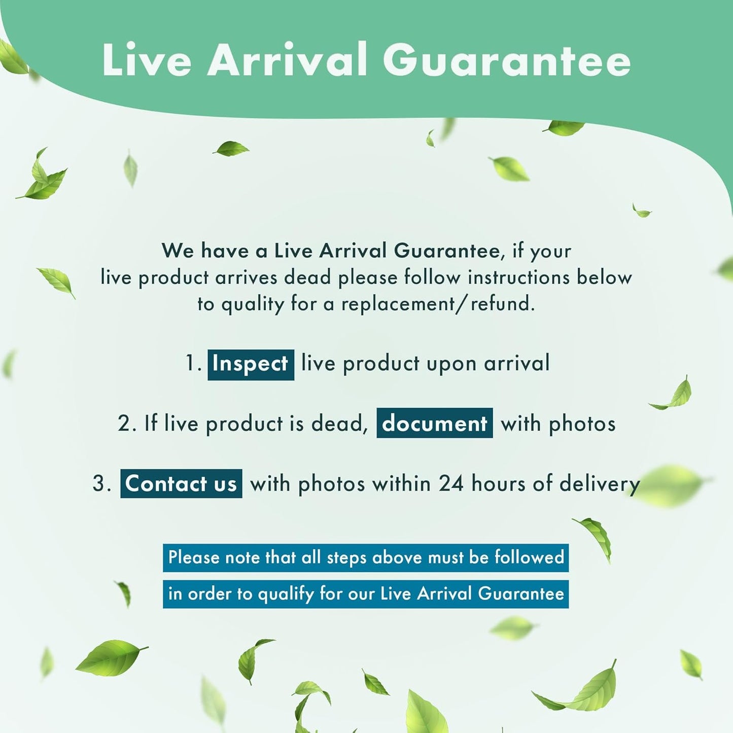 Anubias Live Aquarium Plants - Potted Freshwater Plant for Fish Tanks, Terrariums - Beginner Friendly Low Light (Barteri Broad Leaf, 3 Pots)