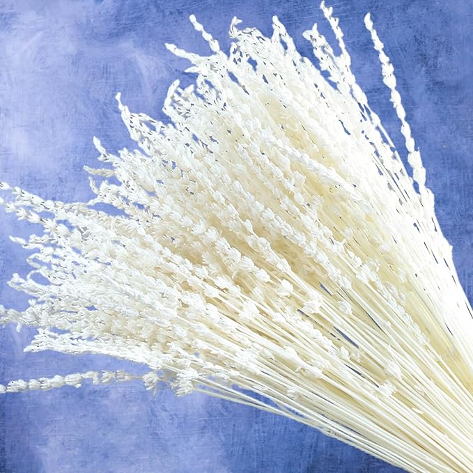 Iory White 180+Stems Dried Lavender Flowers Bundle-15''-17''Real Bleaching Cream White Lavender Bouquet for Home Wedding Boho Party Vase Decor, Crafts, 2 Packs Silk Live Plants