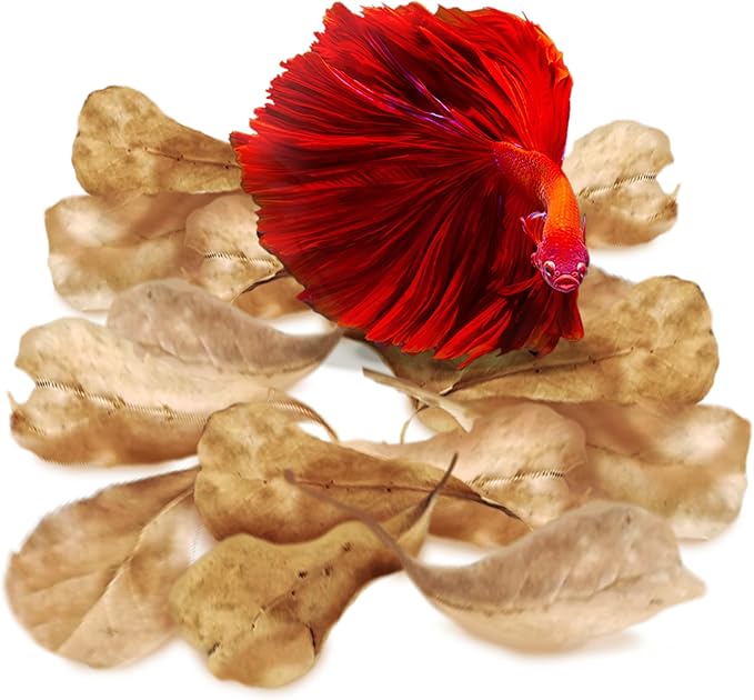 SunGrow 50 pcs Catappa Indian Almond Leaves for Betta Fish Tank Aquarium, 2” Water Conditioner Leaves, Leaf Also Suitable for Shrimp, Goldfish, Guppy and Frogs