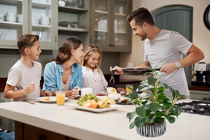 AlphaAcc Artificial Plants Decor Greenery Fake Succulents Indoor Potted Fake Plant with Rustic Black Clay Planter for Farmhouse Room Bathroom Bedroom Kitchen Office Table Desk Decor