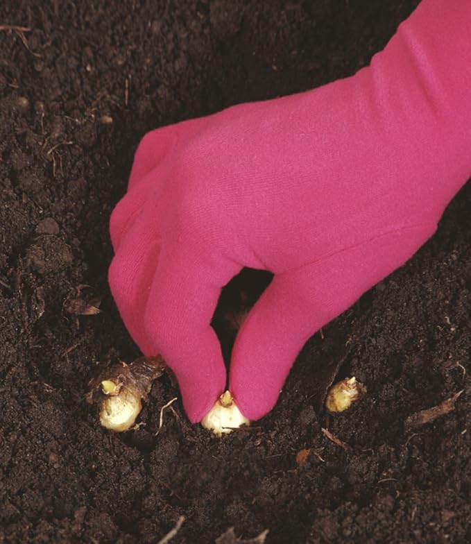 Foxgloves Original Gardening Gloves