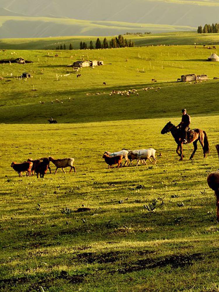 Electric Fence Polywire 1312 Feet,400 Meter,6 Stainless Steel Strands for Reliable Conductivity and Rust Resistance,Portable Electric Fence Rope