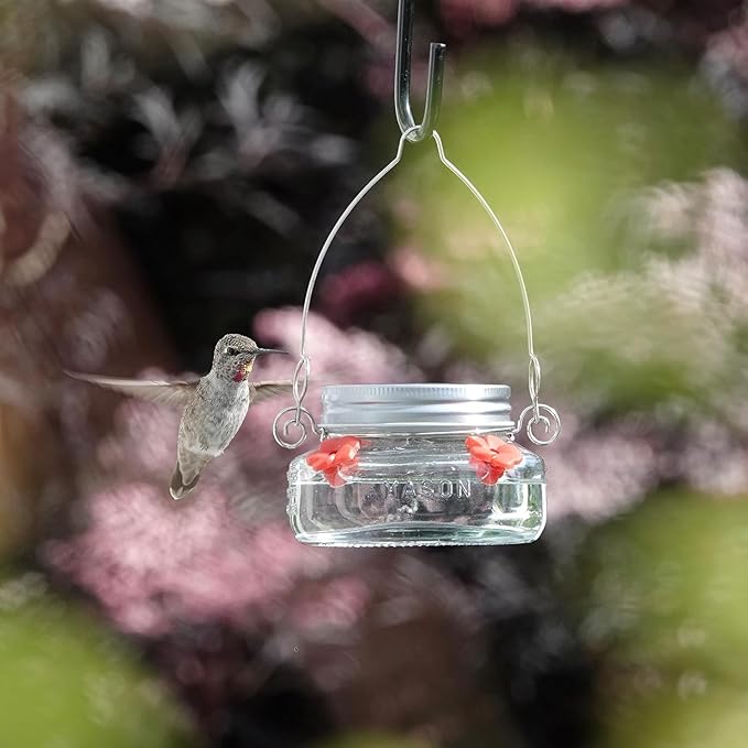 6 Nature's Way Mason Jar Hummingbird Feeders, 6 oz.6