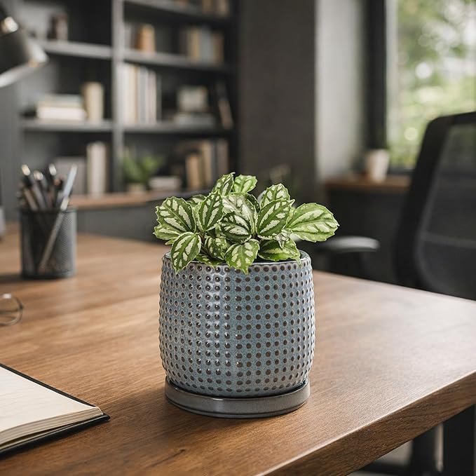 D'vine Dev 4 Inch Ceramic Beaded Stoneware Planter Pot - Flower Pot with Drainage Holes and Saucers for Indoor Succulent Plants or Flowers, Graphite Blue, 27-C-Z-9