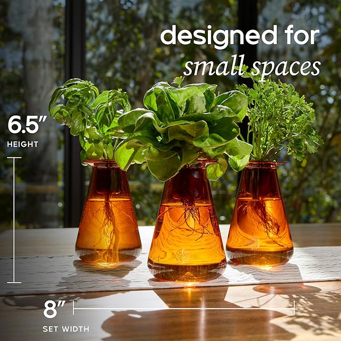 Counterstand Set – Vase Plant for Indoor Edible Garden Kit for Herbs & Lettuce – Small-Space Hydroponic System – Home Decor & Gifting – No Glow Lamp