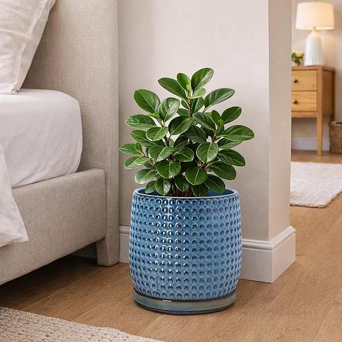 D'vine Dev 8 Inch Ceramic Beaded Stoneware Planter Pot - Flower Pot with Drainage Holes and Saucers for Indoor Succulent Plants or Flowers, Ocean Teal, 27-C-Q-8