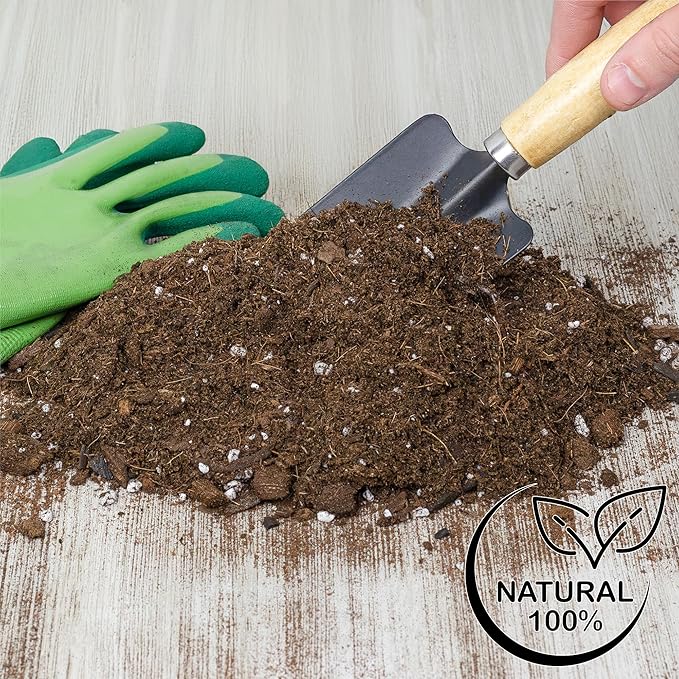 Soil Sunrise Monstera Houseplant Potting Soil Mix (8 Quarts) Custom Blend for Growing and Repotting