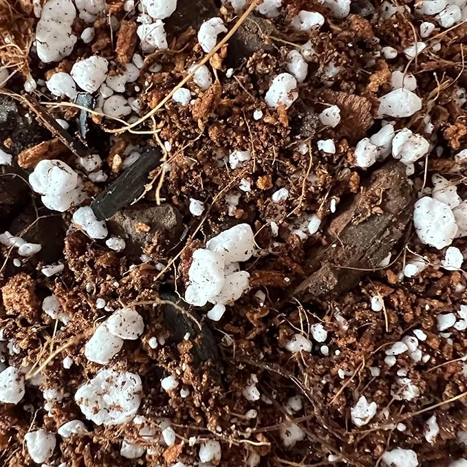 rePotme ZZ Plant Potting Soil - Imperial Houseplant Mix - Standard Bag (8 Quarts) - Great Potting Mix for Indoor Plants