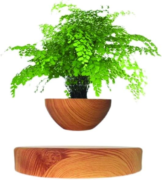 Gravity-Defying Greenery: Transform Your Home with Levitating and Hanging Planters