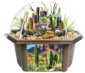 Cactus Succulent Desert Dome Seed Starter Kit - Indoor Desert Starter Kit - Includes Potting Soil, Terrarium, Over A Dozen Desert Plant Seed Packets - DIY Kitchen Grow Kit