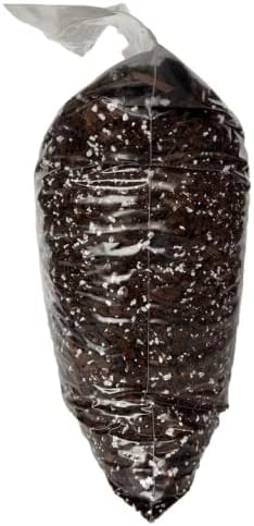 Snake Plant Imperial Houseplant Potting Soil Mix by rePotme - Standard Bag (8 Quarts)