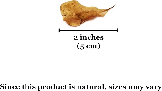 SunGrow 100 pcs Catappa Indian Almond Leaves for Betta Fish Tank Aquarium, 2” Water Conditioner Leaves, Leaf Also Suitable for Shrimp, Goldfish, Guppy and Frogs