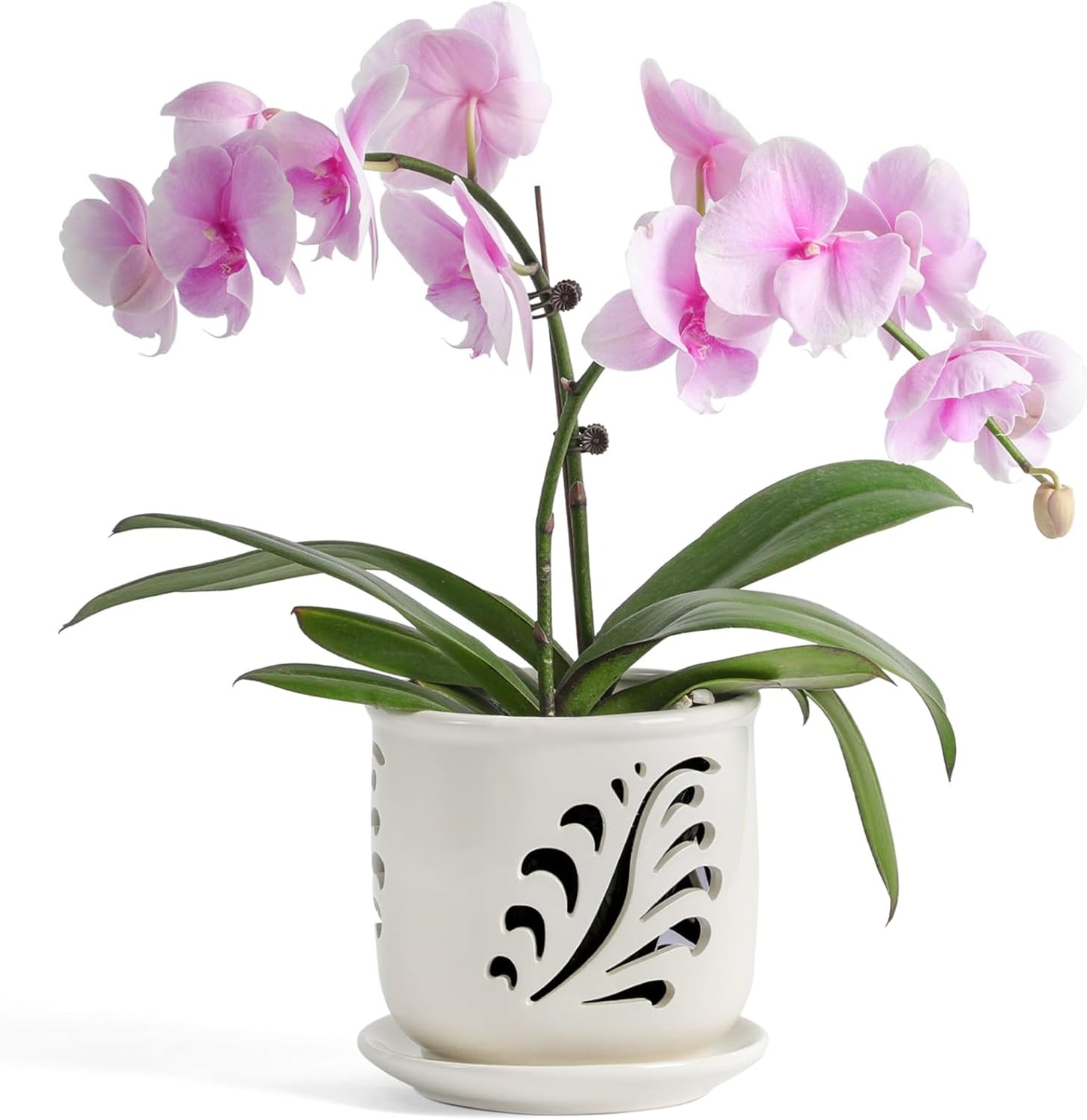 Ceramic Orchid Pot, 6 Inch Orchid Pots with Holes and Saucer for Indoor/Outdoor Plants Drainage & Air Circulation, White Orchid Planter for Repotting or New Plants