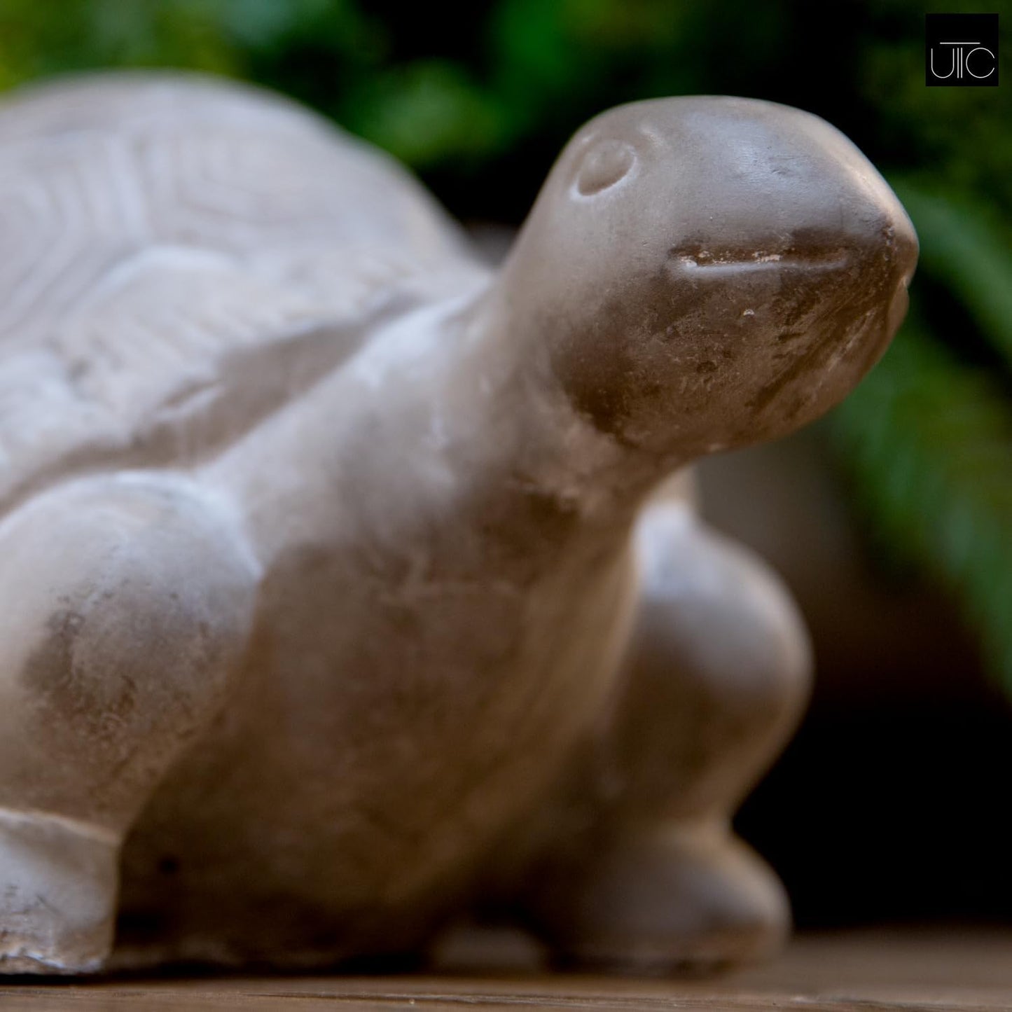 Modern Small Terracotta Turtle Figurine, Unique Cement Figurines, Handcrafted Decorative Gray Concrete Finish Sculpture for Home, Garden,Office: 11.75"x6.75"x5.75"H