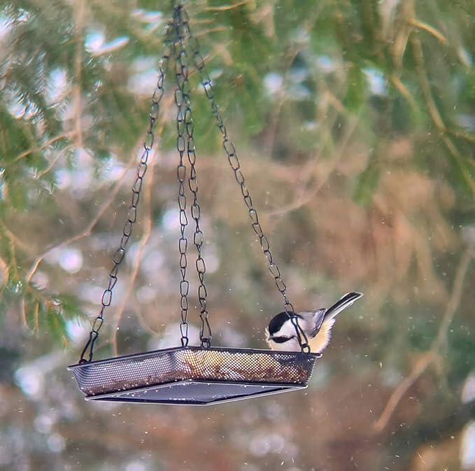 Hanging Bird Feeder Tray Platform Metal Mesh Seed Tray for Bird Feeding Outdoor Garden Decoration for Backyard Attracting Wildbirds