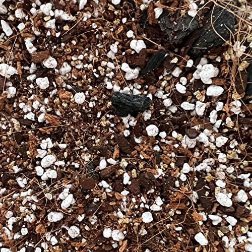 rePotme Houseplant Soil - Spider Plant Imperial Houseplant Potting Soil Mix - Mini Bag (2 Quarts)