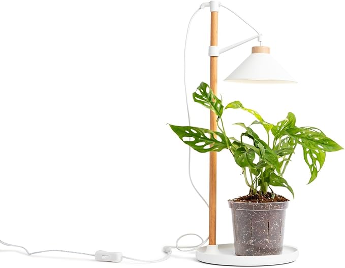 rePotme All Purpose Potting Soil for Indoor and Outdoor Plants, Organic and Made in The USA, Houseplant and Tropical Classic Potting Mix (Standard Bag, 8 Quarts)