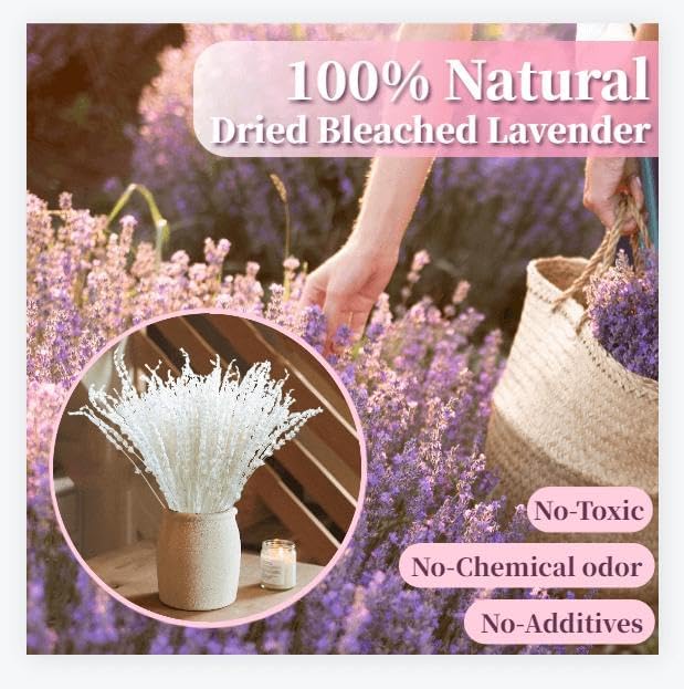 Iory White 180+Stems Dried Lavender Flowers Bundle-15''-17''Real Bleaching Cream White Lavender Bouquet for Home Wedding Boho Party Vase Decor, Crafts, 2 Packs Silk Live Plants