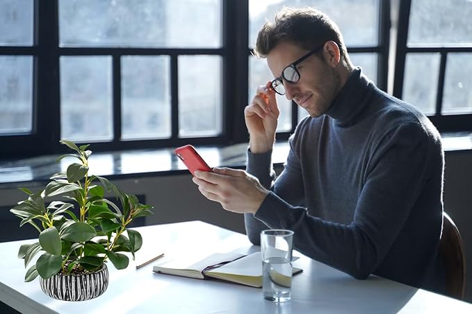 AlphaAcc Artificial Plants Decor Greenery Fake Succulents Indoor Potted Fake Plant with Rustic Black Clay Planter for Farmhouse Room Bathroom Bedroom Kitchen Office Table Desk Decor