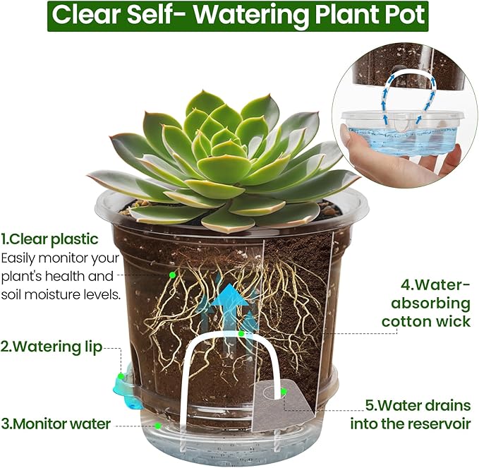 18 Pack 6.5/5/4 Inch Clear Self Watering Plant Pots with Bottom Water Tray & Watering Rope, Transparent Nursery Pots with Drainage for Seedlings, Herbs, and Houseplants