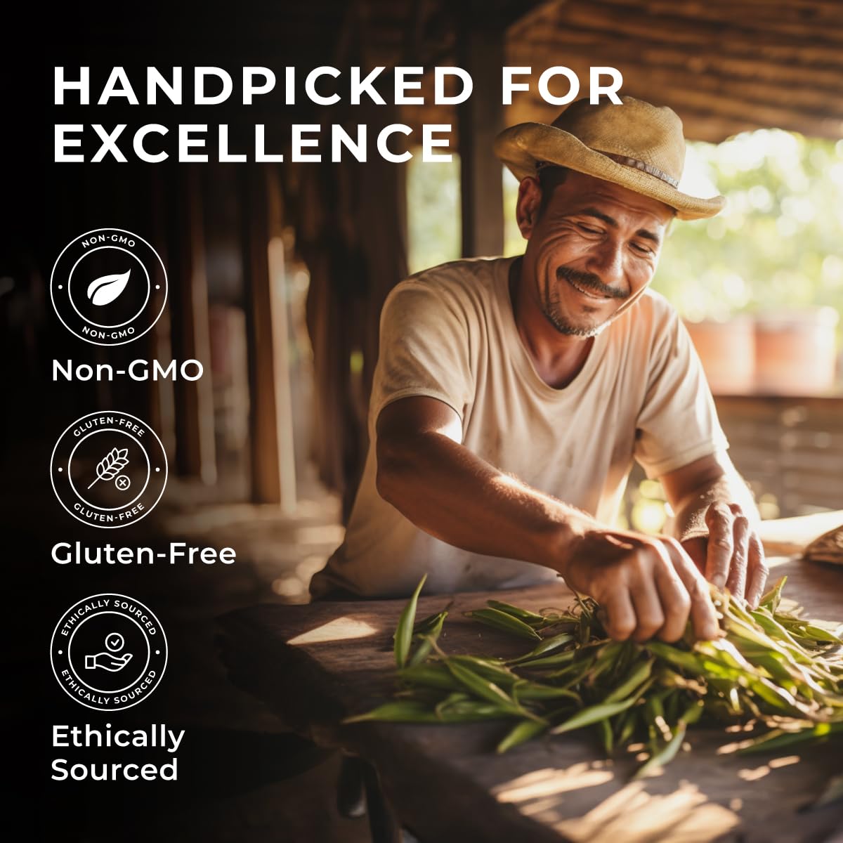 Gya Labs 10 Tahitian Vanilla Beans for Making Vanilla Extract, Baking - Grade A - 5-7 Inches (12 to 15 CM) long, Caviar Rich, Flavorful Fresh Pods