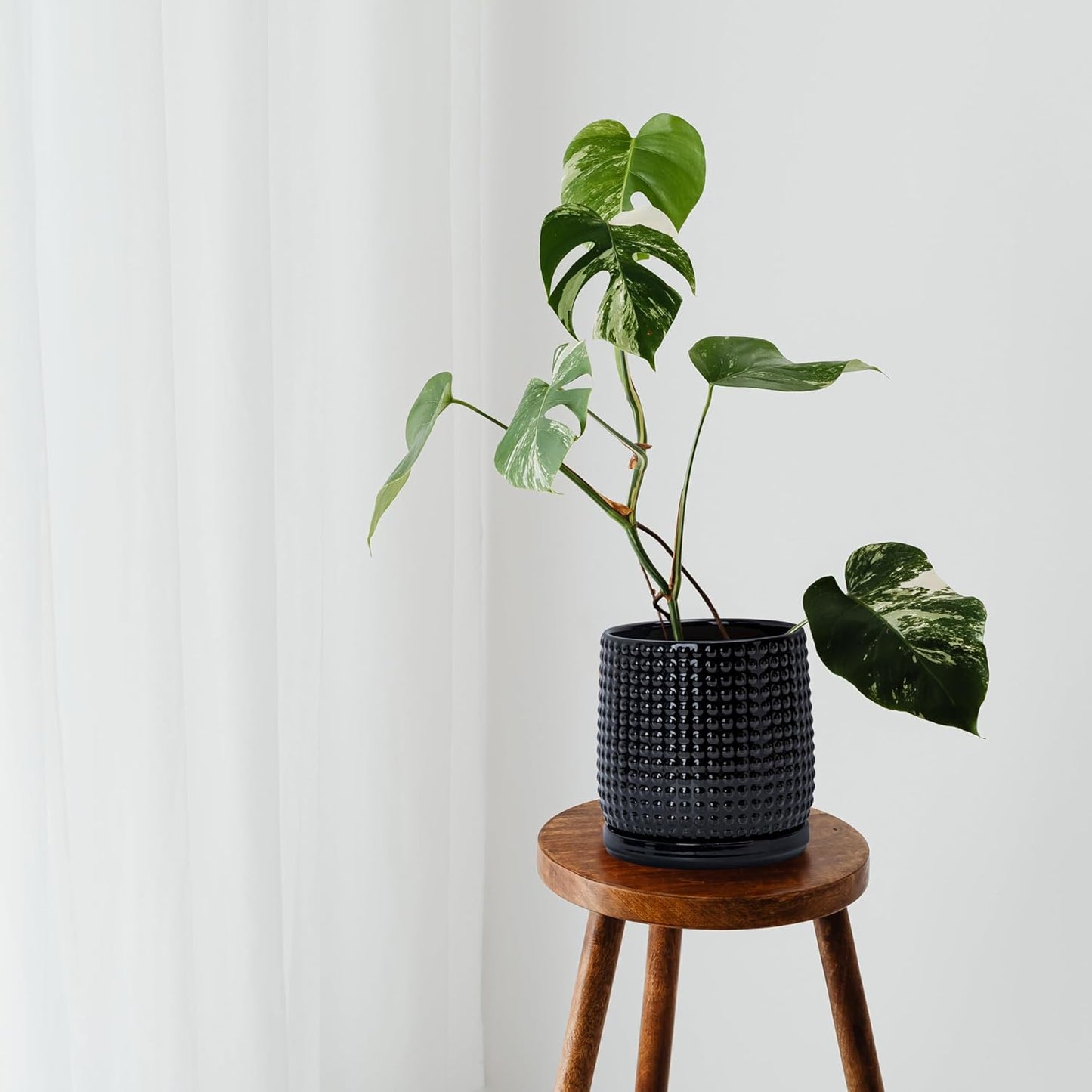 D'vine Dev 6 Inch Ceramic Beaded Stoneware Planter Pot - Flower Pot with Drainage Holes and Saucers for Indoor Succulent Plants or Flowers, Glossy Black, 27-C-X-2