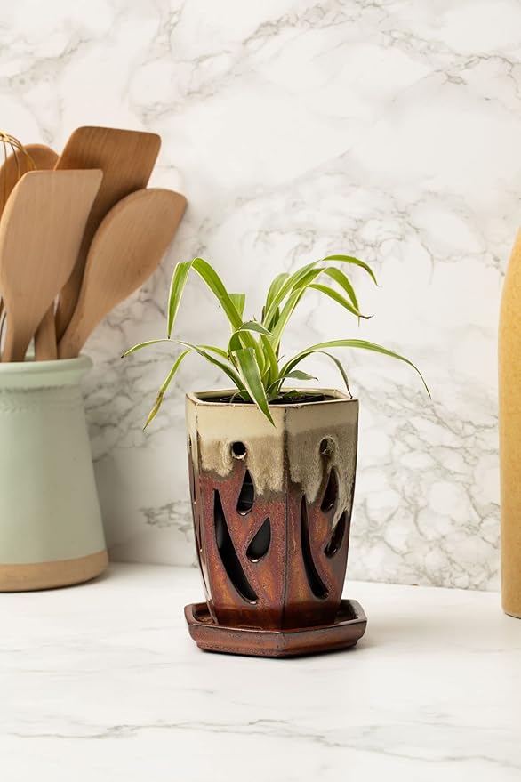 rePotme Houseplant Soil - Spider Plant Imperial Houseplant Potting Soil Mix - Mini Bag (2 Quarts)