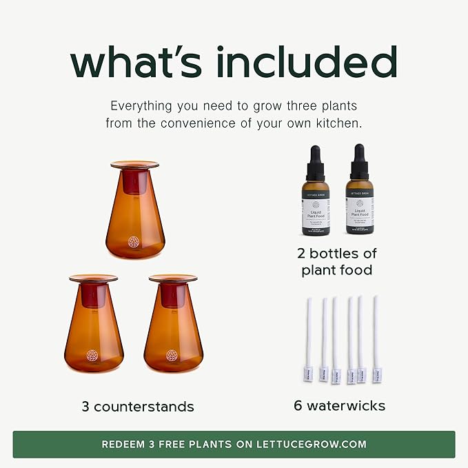 Counterstand Set – Vase Plant for Indoor Edible Garden Kit for Herbs & Lettuce – Small-Space Hydroponic System – Home Decor & Gifting – No Glow Lamp