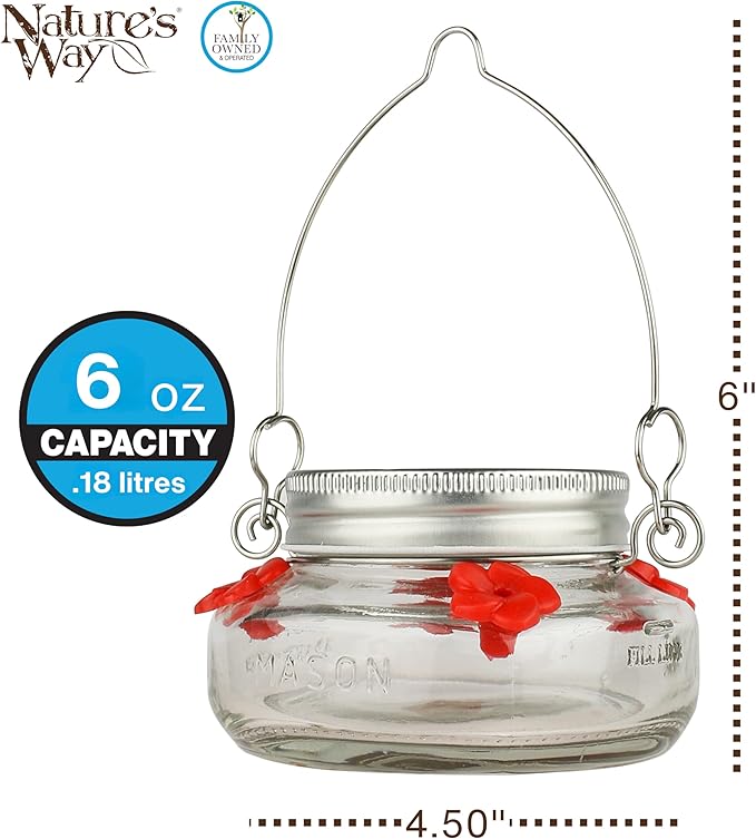 Nature's Way Bird Products MJF1 Nature's Way Mason Jar Hummingbird Dish Feeder, Clear