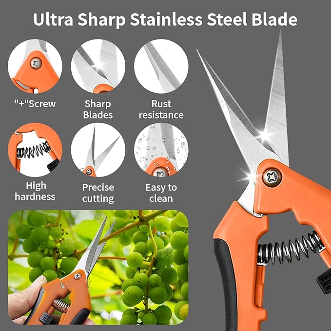 4 Pack Garden Pruning Shears, Stainless Steel Shears, Gardening Shears Scissors Pruning Shears for Gardening Tools (2pcs Orange+1pcs Green+1pcsBlue)