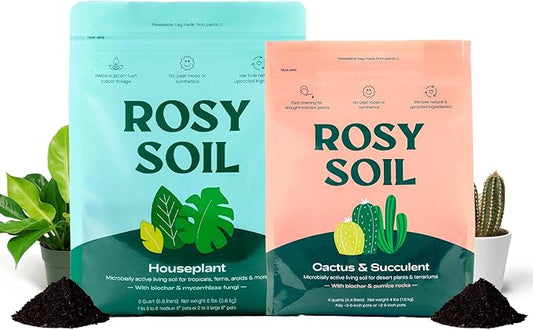 Rosy Soil Cactus and Succulent Potting Soil Mix (4 qts) + Indoor Potting Soil (8 qts) - Peat Free House Plant Soil - Potting Soil Mix for Indoor Plants