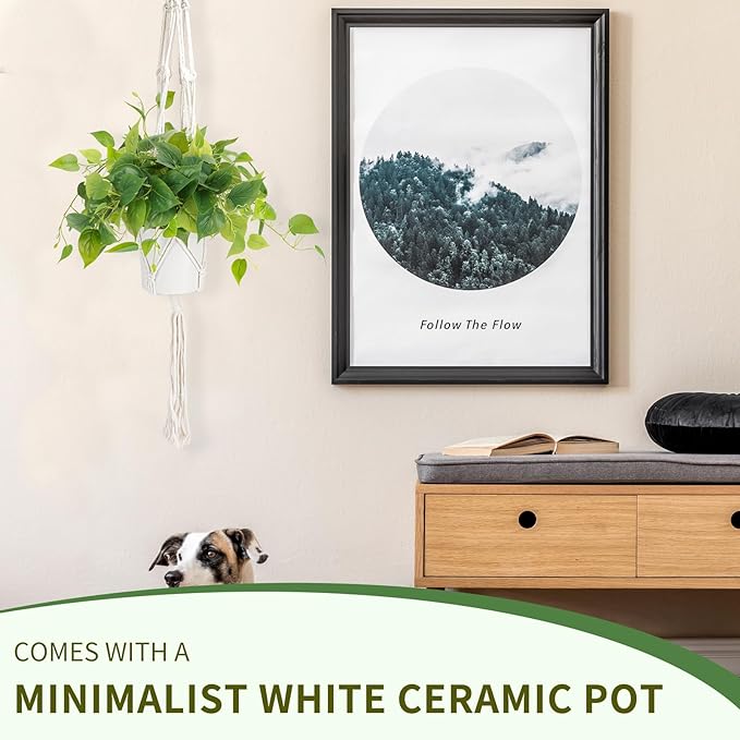 JPSOR Faux Plants Indoor, Pothos Small Fake Plants for Home Decor Indoor Fake Potted Plant Artificial Plants for Living Room Shelf Home Office Decor（White Ceramic Pot）