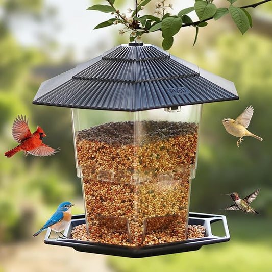 Bird Feeder for Outdoors Hanging,Black Hanging Wild Bird Feeders with S Hook for Blue Bird, Cardinals, Finches,Wild Birds Seed Feeder, As Gift for Bird Lovers