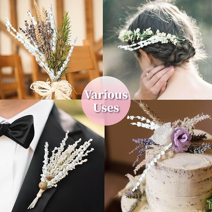 Iory White 180+Stems Dried Lavender Flowers Bundle-15''-17''Real Bleaching Cream White Lavender Bouquet for Home Wedding Boho Party Vase Decor, Crafts, 2 Packs Silk Live Plants