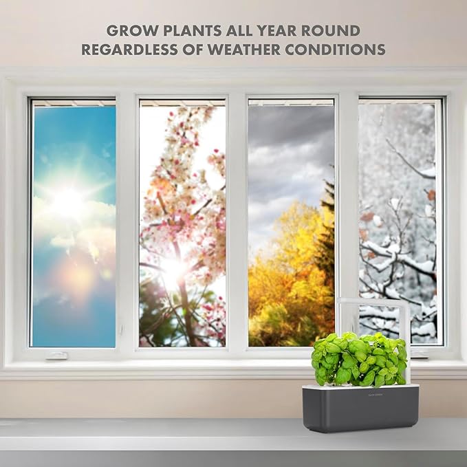 Click & Grow Indoor Herb Garden Kit with Grow Light | Smart Garden for Home Kitchen Windowsill | Easier Than Hydroponics Growing System | Vegetable Gardening Starter (3 Basil Pods Included), Grey