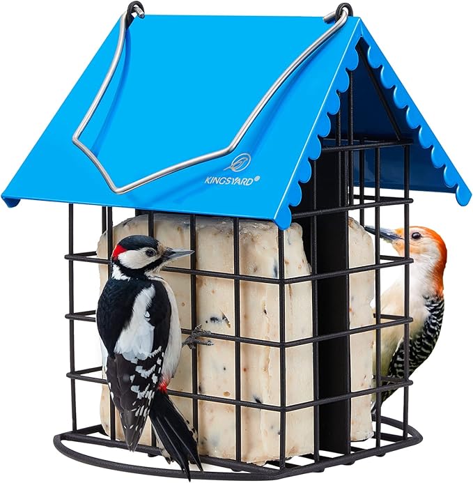 Kingsyard Double Suet Bird Feeder with Weatherproof Roof & Perch, All Metal, Suet Cakes Cage Bird Feeder for Outdoors Hanging, Easy to Clean & Refill, Blue