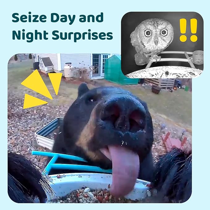 NETVUE by Birdfy Smart Bird Feeder with Camera, Battery&Solar Powered, 2MP Wireless Wildbird Watching, Night Color Vision, Auto-Capture & Notify, Collection & Cloud Storage (AI by Subscription)