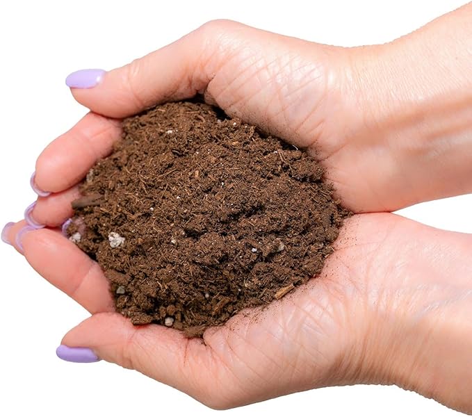 GARDENERA Organic Potting Mix for All Plant Types for Indoor and Outdoor Use, Great for Veggies, Spices, and Holistic Herbs - (1 Quart Bag)