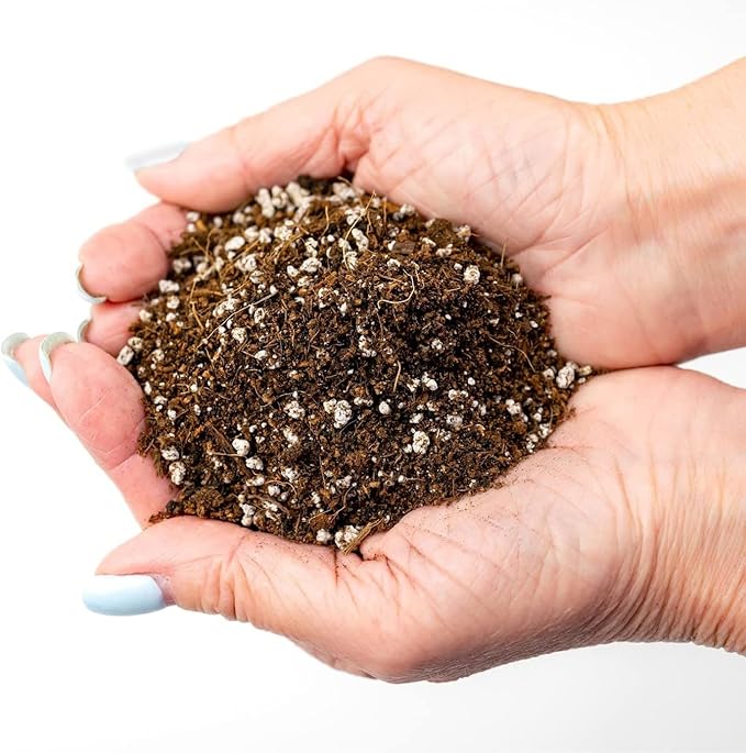 GARDENERA Premium Organic Potting Soil for Eggplants - (1 Quart Bag)