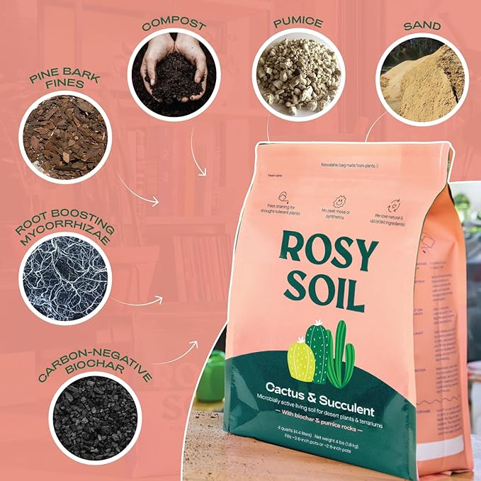 Rosy Soil Cactus & Succulent Potting Mix + Indoor Potting Soil - Peat Free House Plant Soil - Mix for Indoor Plants (4 Quarts Each)