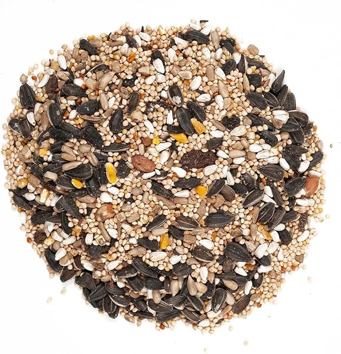 Wagner's 62034 Greatest Variety Blend Wild Bird Food, 6-Pound Bag