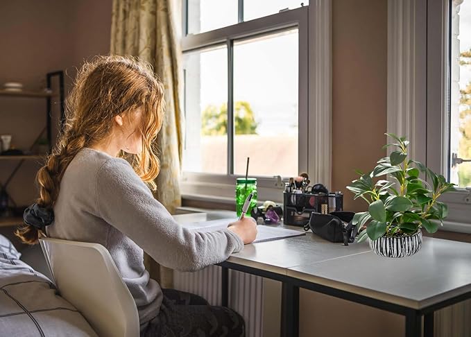 AlphaAcc Artificial Plants Decor Greenery Fake Succulents Indoor Potted Fake Plant with Rustic Black Clay Planter for Farmhouse Room Bathroom Bedroom Kitchen Office Table Desk Decor