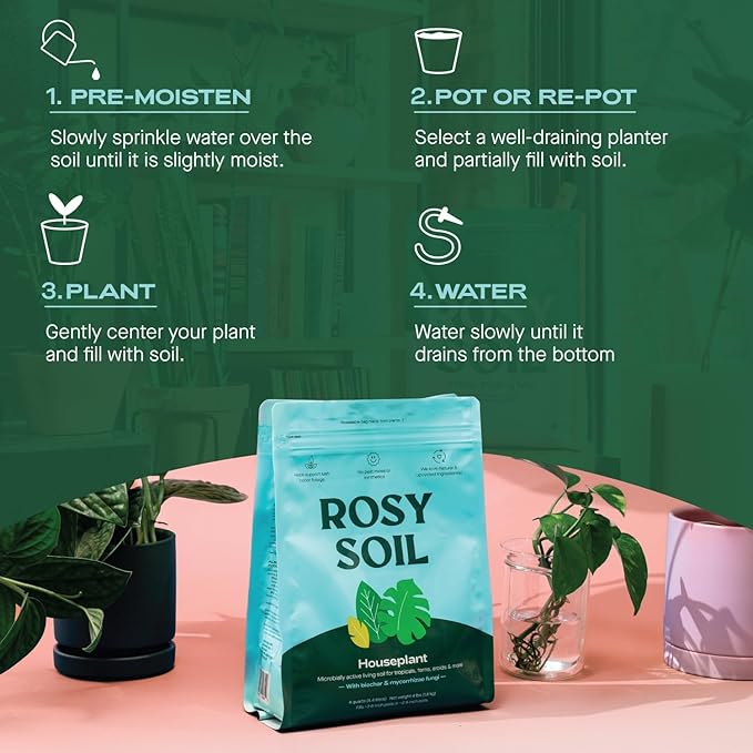 Rosy Soil Cactus & Succulent Potting Mix + Indoor Potting Soil - Peat Free House Plant Soil - Mix for Indoor Plants (4 Quarts Each)