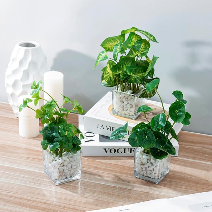 MyGift Artificial Clover and Taro Plants in Clear Glass Vase with Decorative White Stones, Set of 3