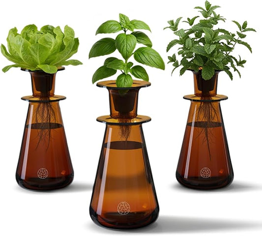 Counterstand Set – Vase Plant for Indoor Edible Garden Kit for Herbs & Lettuce – Small-Space Hydroponic System – Home Decor & Gifting – No Glow Lamp